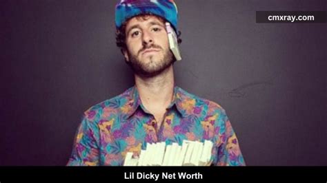 what is lil dicky net worth|Lil Dickys Net Worth: Career & Income